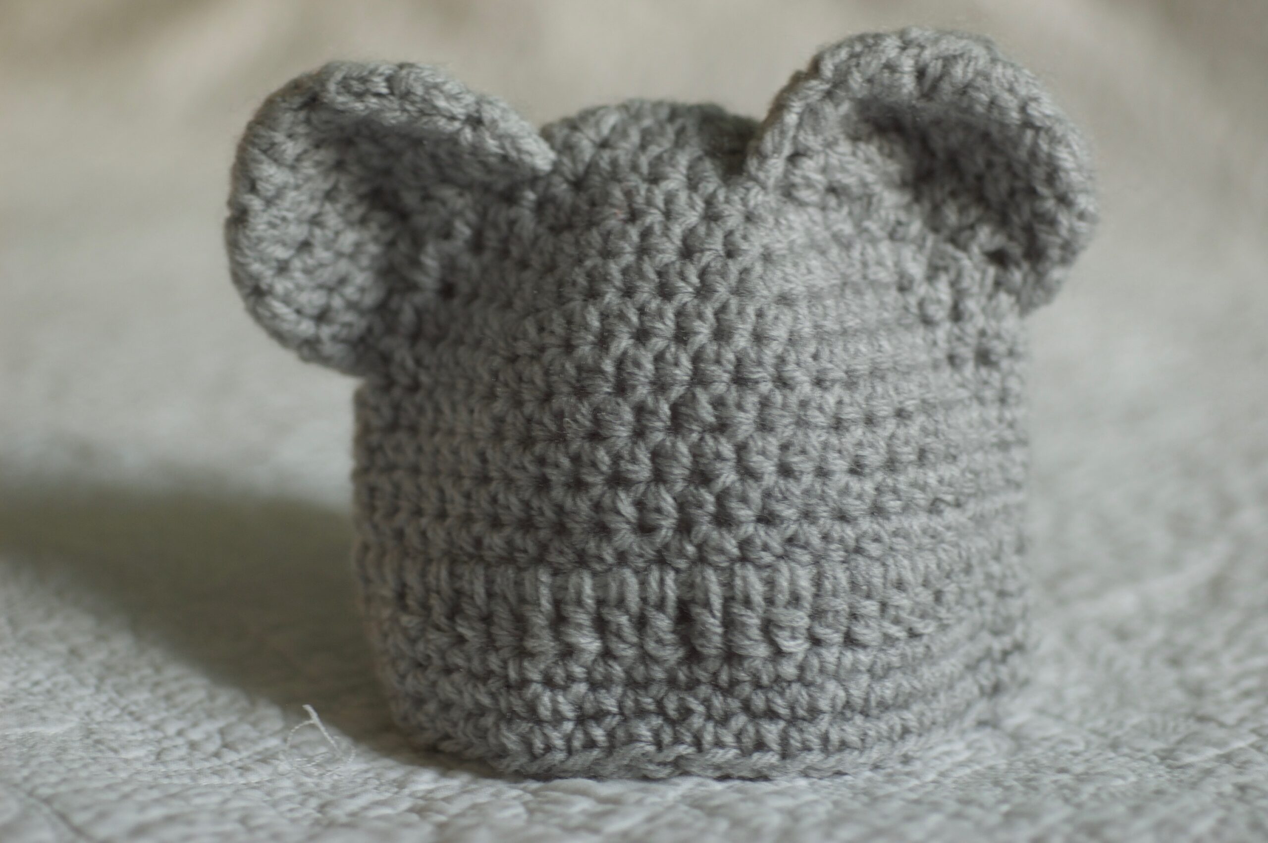 Bear ears beanie.