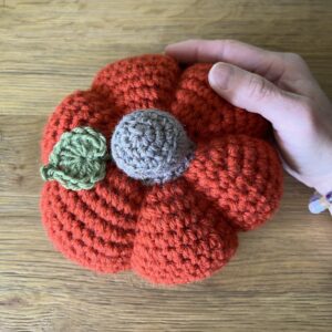 A large sized, handmade, crocheted pumpkin made in a spiced orange colour. With a brown stem and green leaf detail.