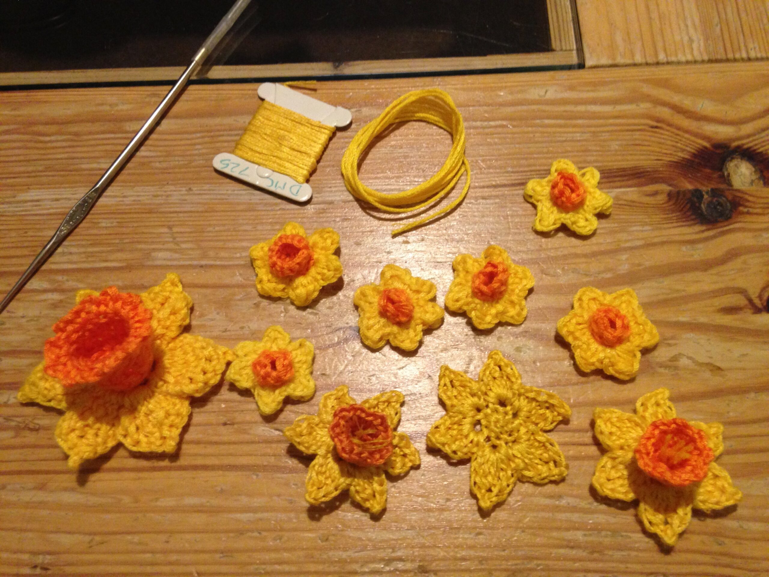 Developing Daffodil patterns.